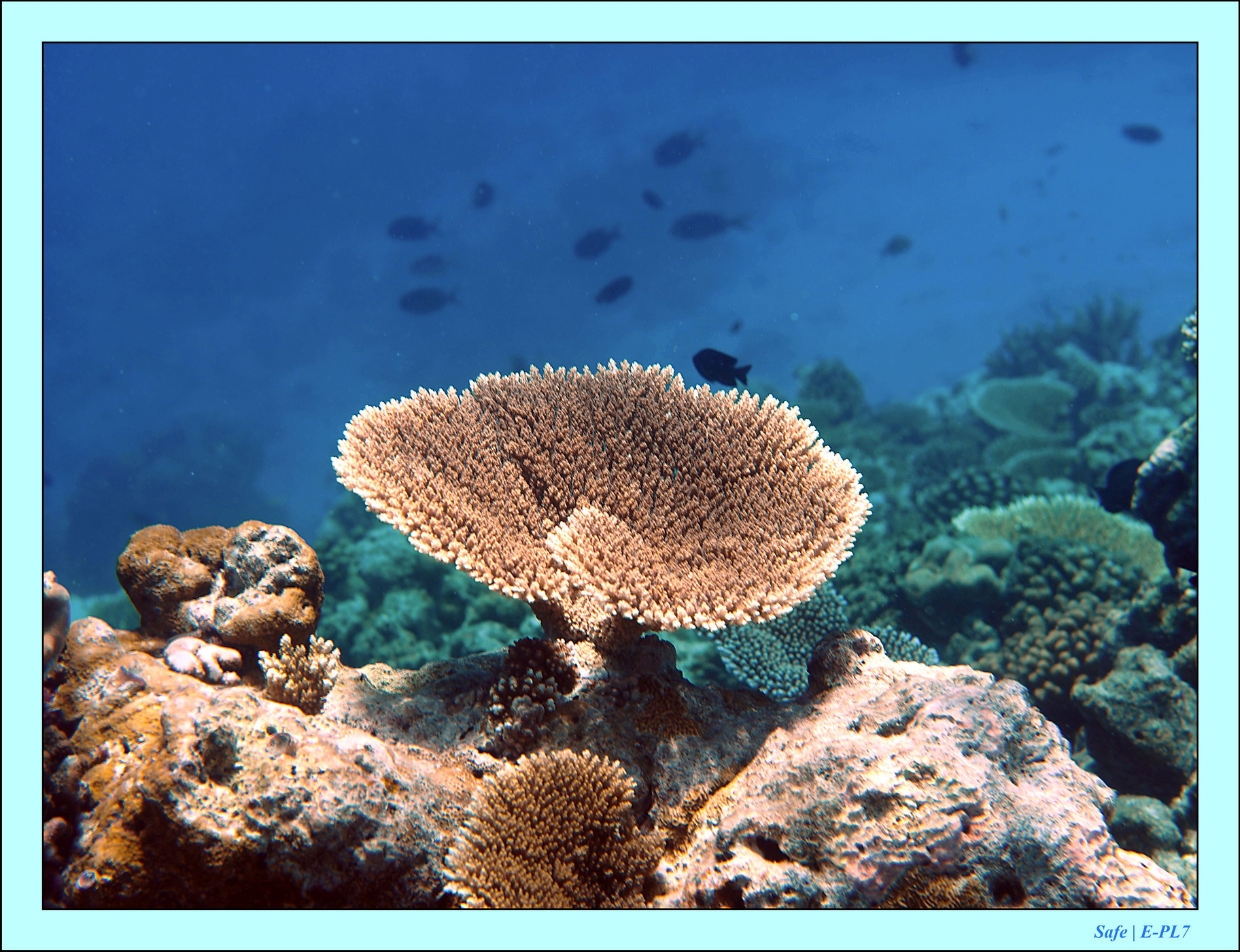 2023 - 07 - Sandies Bathala - 229